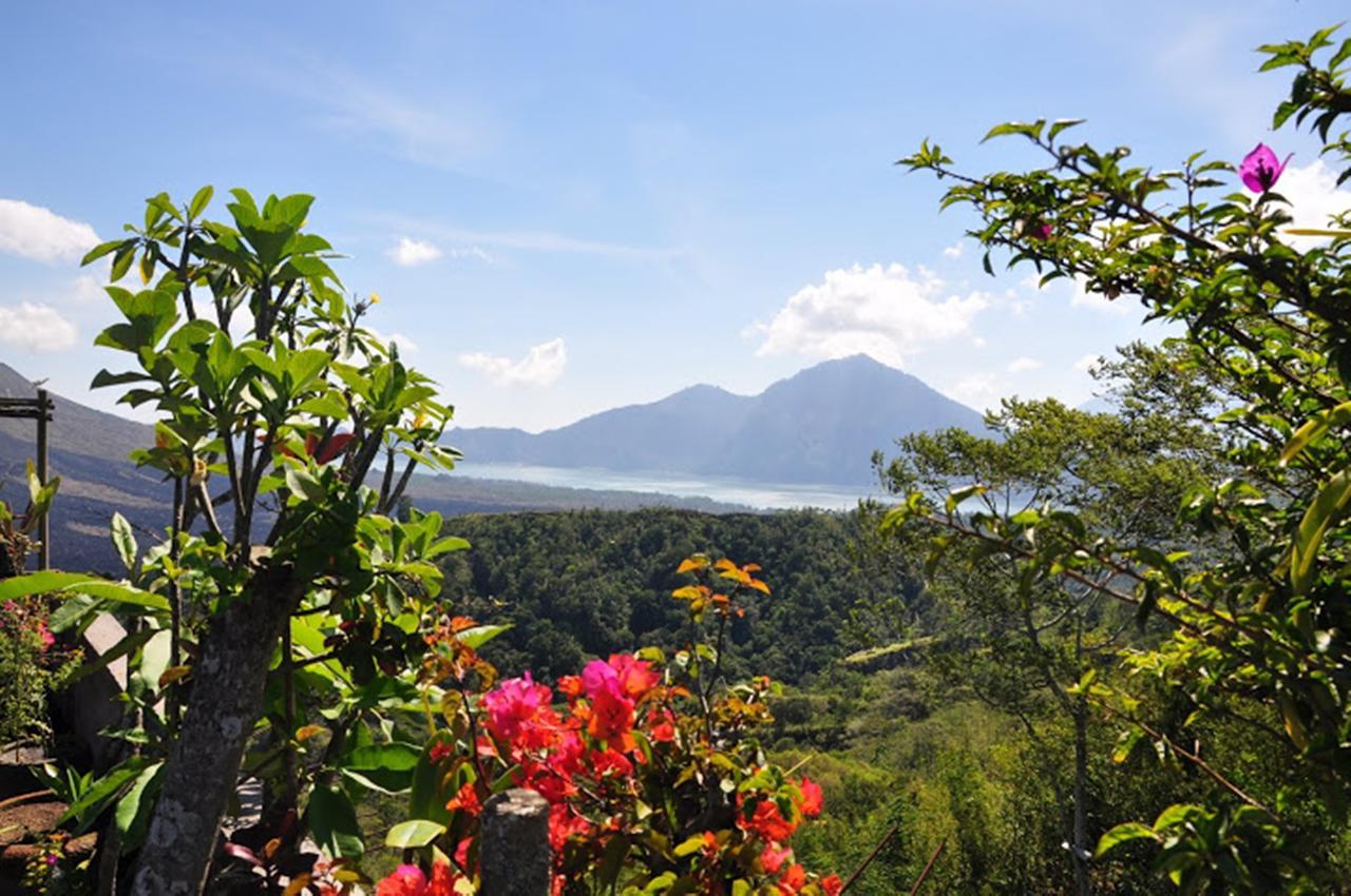 Alam Mimpi Bali Tejakula Exterior foto